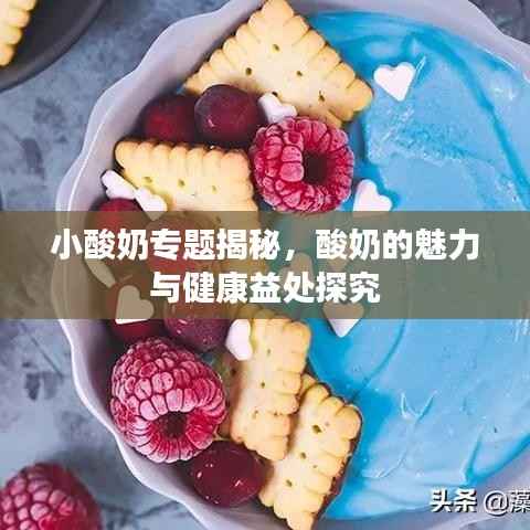小酸奶专题揭秘,酸奶的魅力与健康益处探究