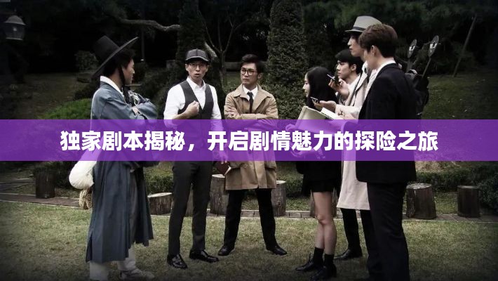 独家剧本揭秘，开启剧情魅力的探险之旅