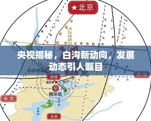 央视揭秘，白沟新动向，发展动态引人瞩目