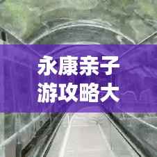 永康亲子游攻略大全，玩转亲子游，尽享美好时光！