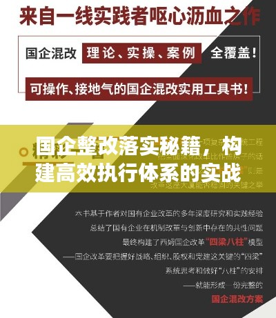 国企整改落实秘籍，构建高效执行体系的实战指南