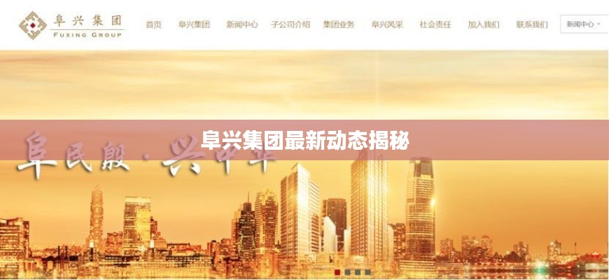 阜兴集团最新动态揭秘