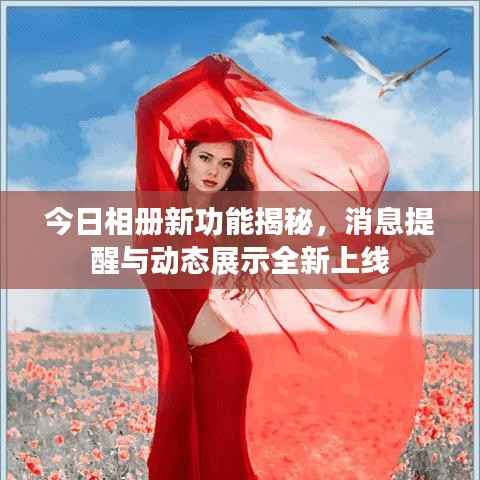 今日相册新功能揭秘，消息提醒与动态展示全新上线