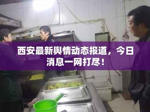 西安最新舆情动态报道,今日消息一网打尽!