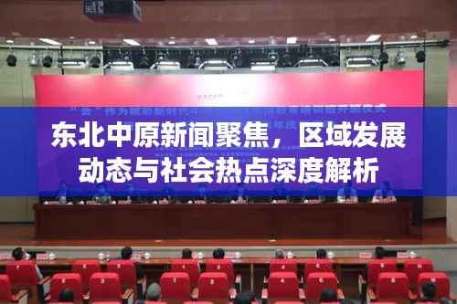 东北中原新闻聚焦,区域发展动态与社会热点深度解析
