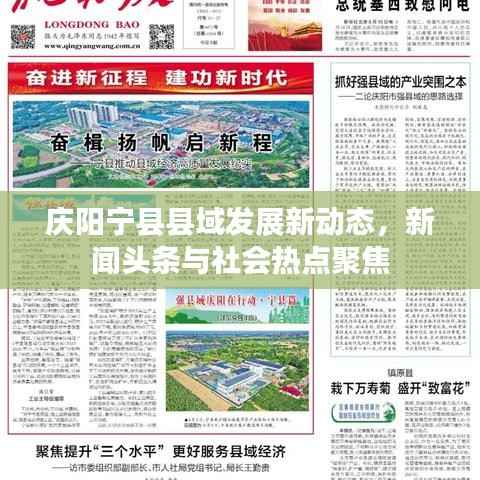 庆阳宁县县域发展新动态，新闻头条与社会热点聚焦